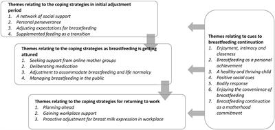 Learning from mothers' success in breastfeeding maintenance: coping strategies and cues to action